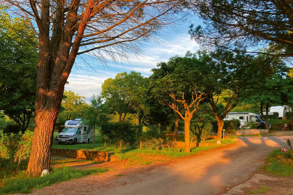 Centre : Non loin de l’agitation de la ville niçoise, de nombreux campings bien situés permettent de passer une nuit tranquille.