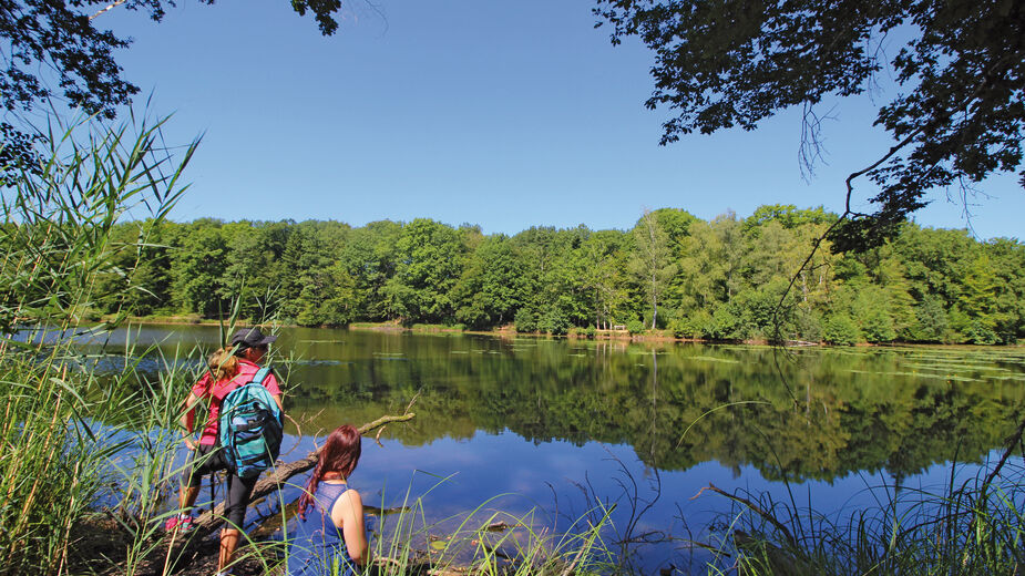 À la découverte des Vosges du Sud