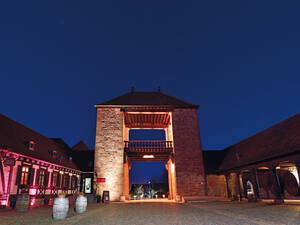 La Deutsche Weintor à Schweigen-Rechtenbach est illuminée de rose fleur d’amandier.