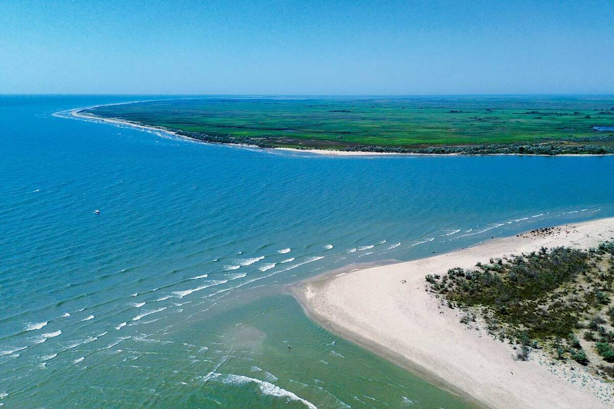 Donaumündung am Schwarzen Meer mit einer Rinderherde am Sandstrand, das Ziel der Reise ist erreicht.