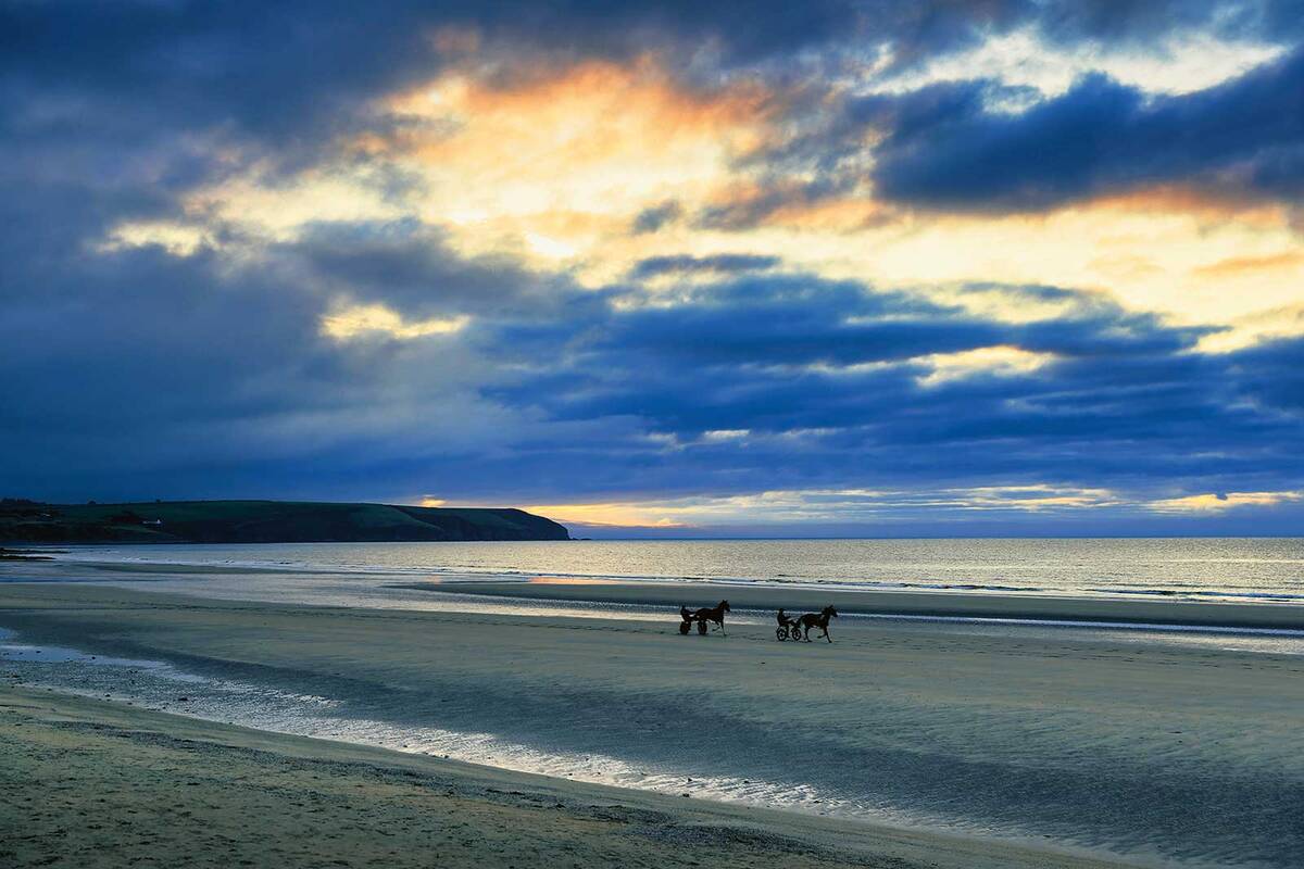 Wir schauen den Trabjockeys am Strand von Dunmore zu.