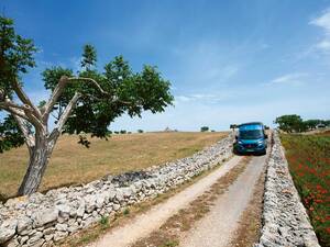 Sur les routes agricoles entre Noci et Locorotondo, nous admirons le paysage où les trulli sont partout présents.