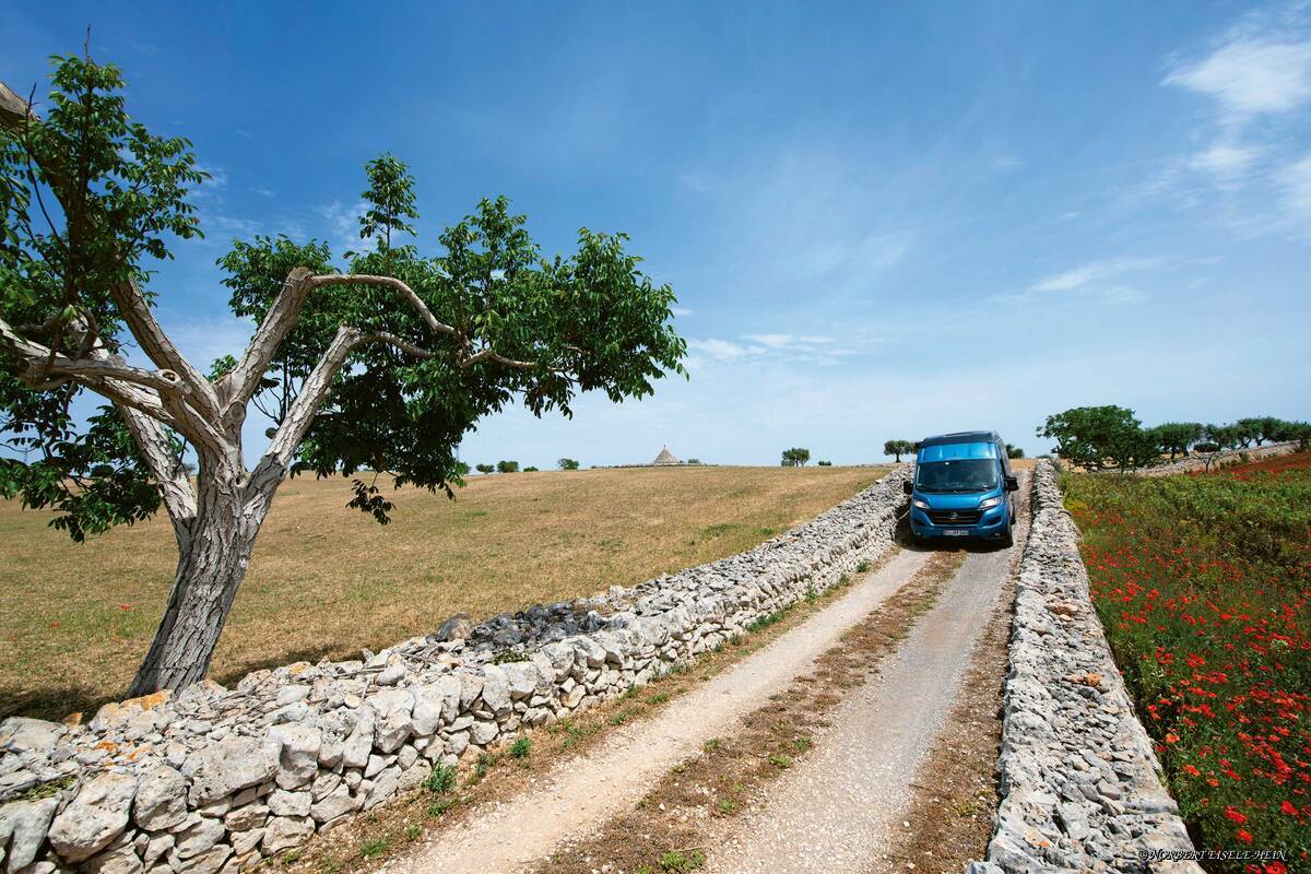 Sur les routes agricoles entre Noci et Locorotondo, nous admirons le paysage où les trulli sont partout présents.
