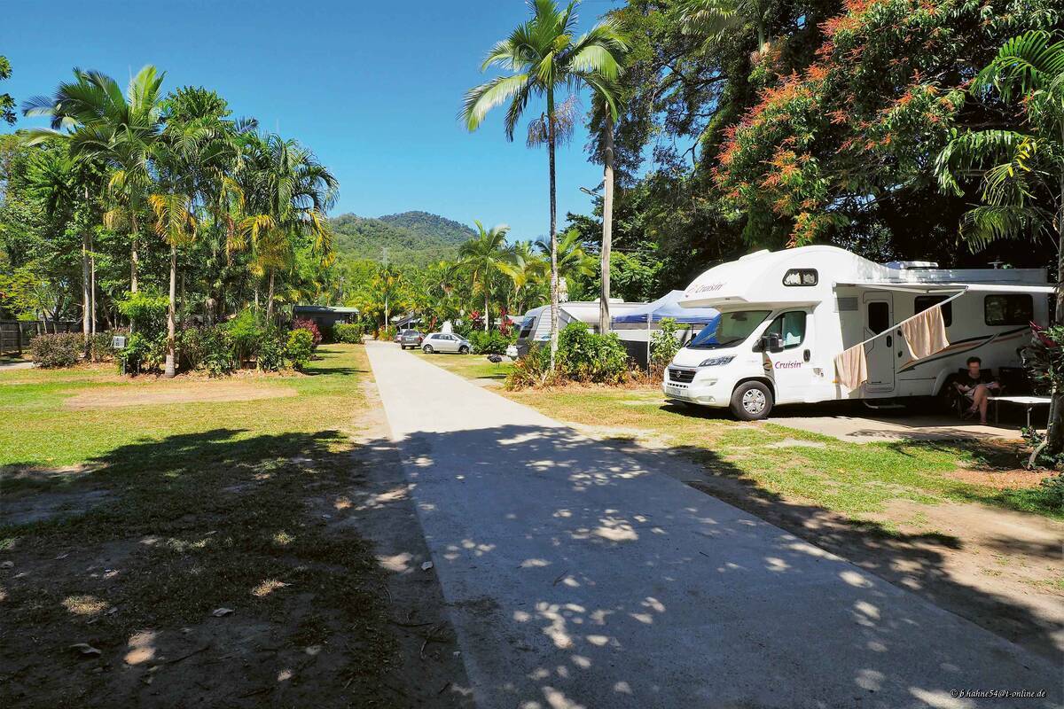 Eintauchen in die tropische Naturwelt.