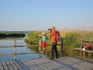 Le lac Federsee près de Bad Buchau se situe au milieu d’une grande zone d’étangs et de tourbières.
