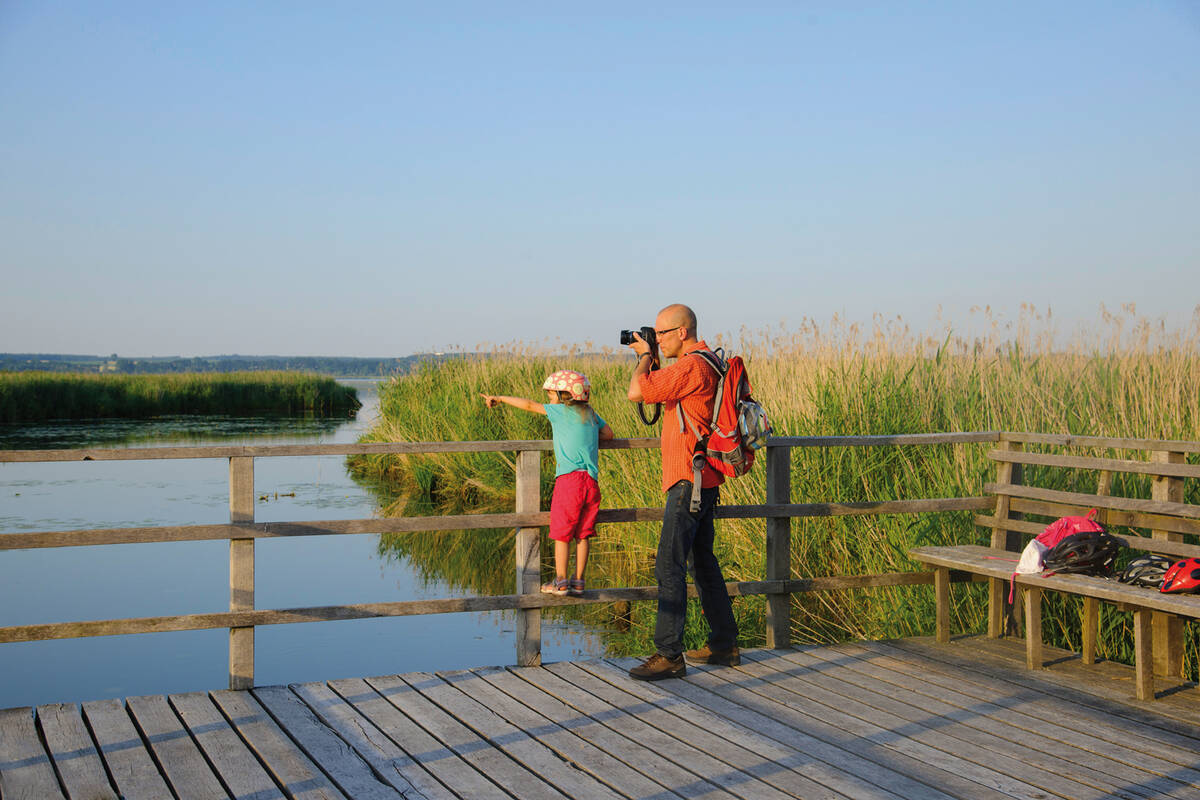 Le lac Federsee près de Bad Buchau se situe au milieu d’une grande zone d’étangs et de tourbières.