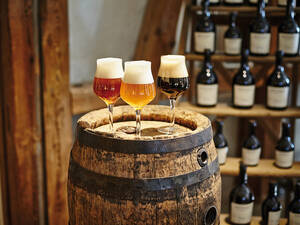 Vom Hopfen bis zum fertig gebrauten und frisch gezapften Bier – das ist eines der Themen auf der Genussroute durch Oberschwaben-Allgäu.