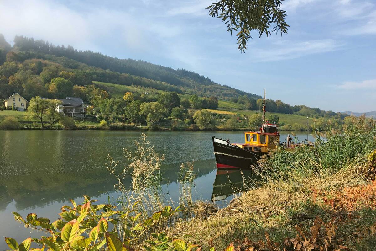 Un matin d'automne idyllique au bord de la Moselle.