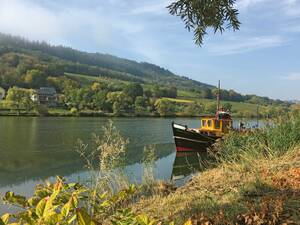 Un matin d'automne idyllique au bord de la Moselle.