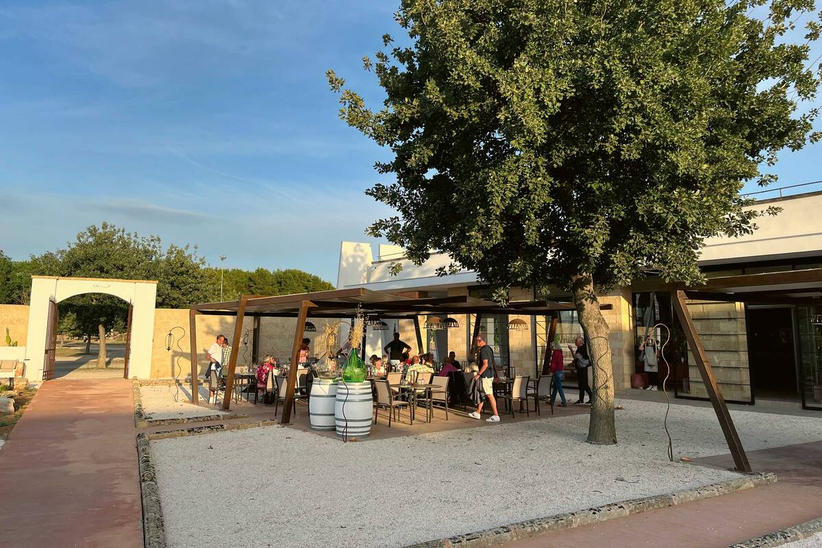 Im Weingut Cantina Coppola erhalten wir Einblicke in die Produktion des Weines und können zu kulinarischen Leckerbissen dies auch gleich probieren.