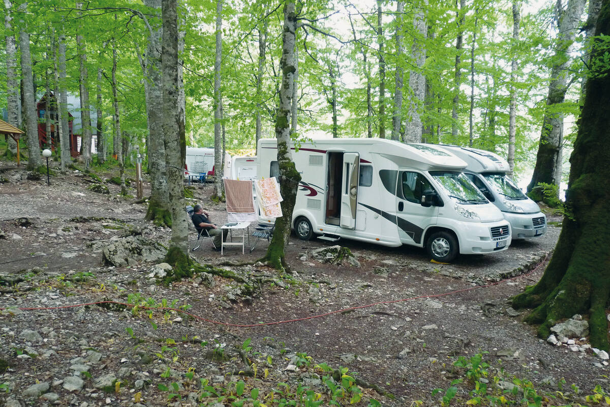 Exklusiver Übernachtungsplatz in einem weitläufigen Waldstück unter uralten Buchen und Eichen im Biogradska Gora Nationalpark.