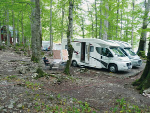 Un bel emplacement pour la nuit sous des hêtres et des chênes extrêmement vieux dans un vaste coin de forêt du parc national de Biogradska Gora.