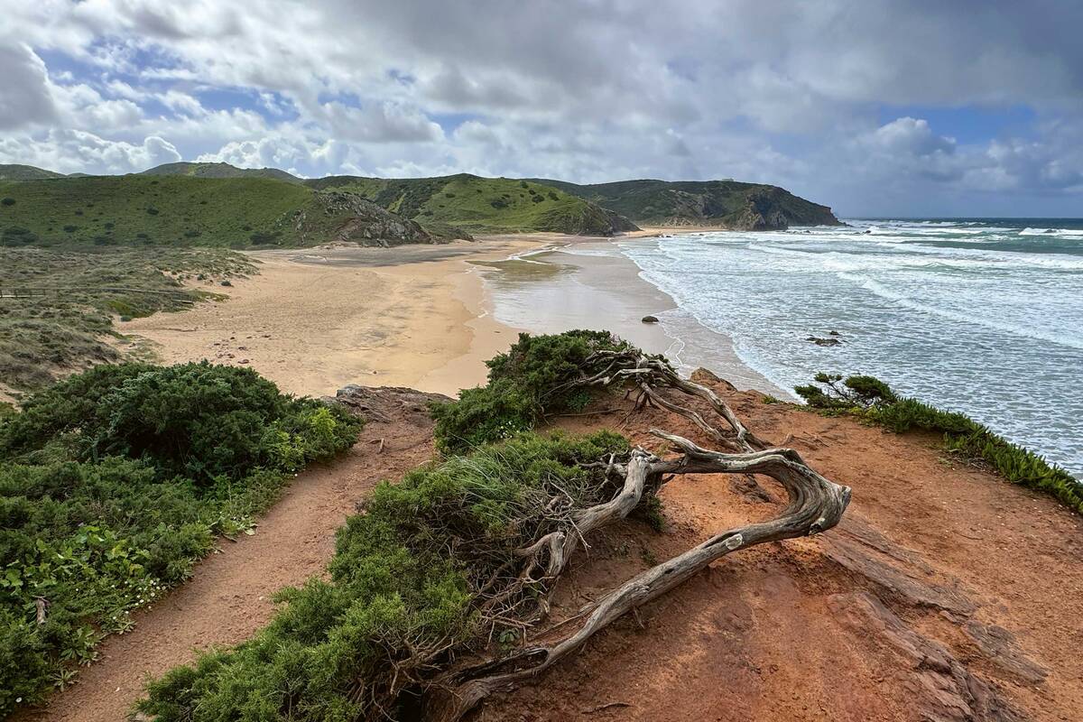 Cette région regorge de belles plages de sable.