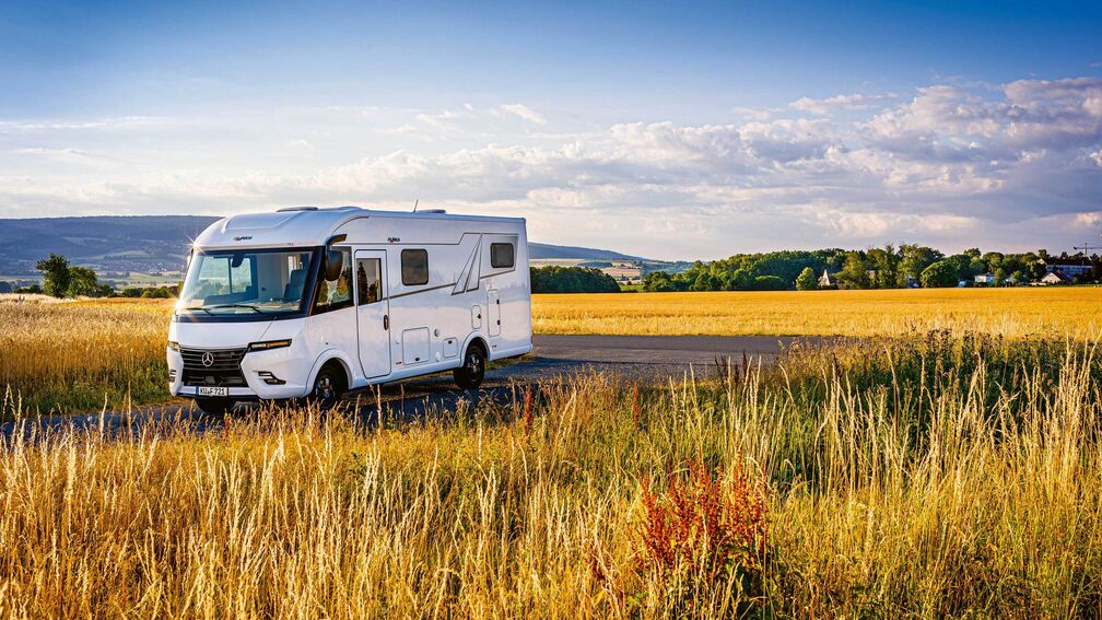 Frankia : nouvel intégral